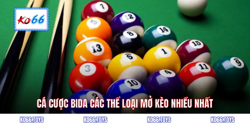 Cá cược bida