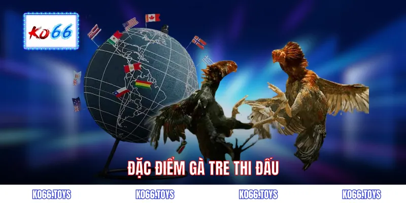 Đặc điểm gà tre thi đấu