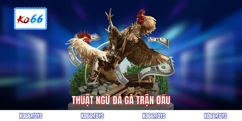  Thuật ngữ đá gà trận đấu